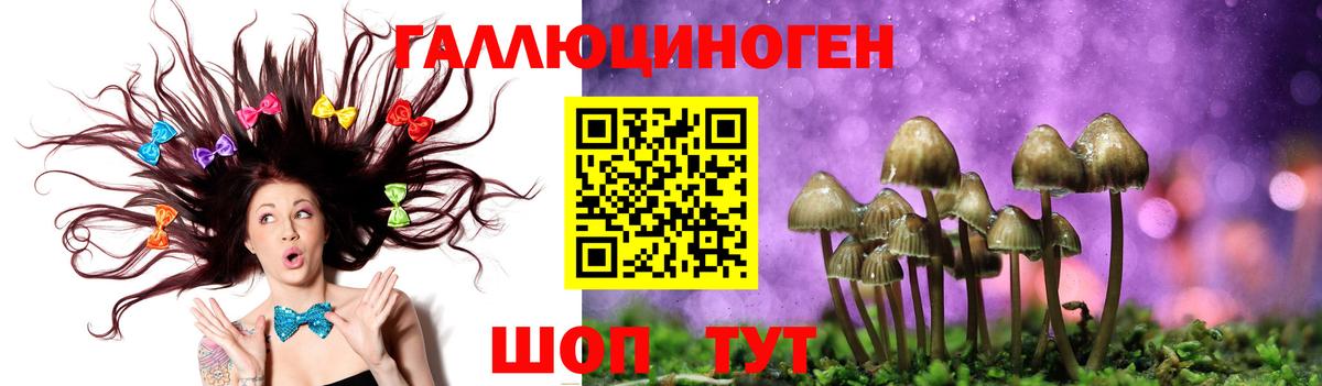 Псилоцибиновые грибы Magic Shrooms  Галлюциногенные грибы Psilocybine cubensis  Острогожск  Вход с VPN 